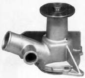 B205 Dolz