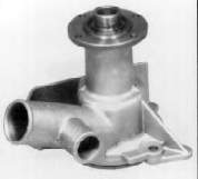 B206 Dolz