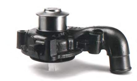 F155 Dolz