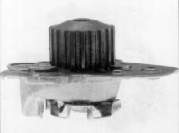 N206 Dolz