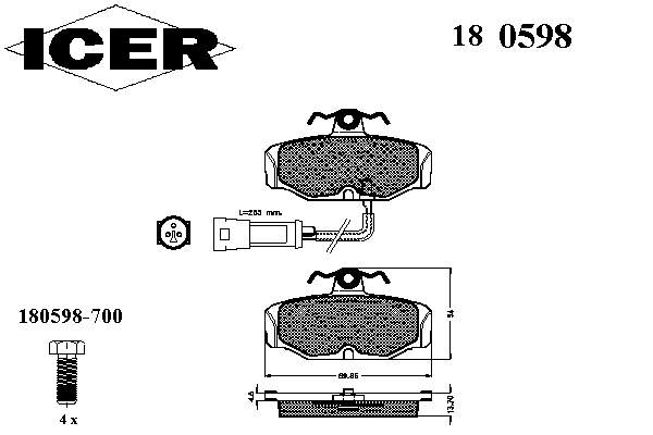 180598 Icer