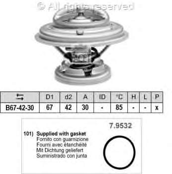 6062030575 Ssang Yong Termostato