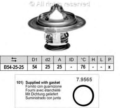 DT1021V Dayco Termostato