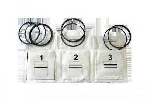 1203395F0B Nissan/Infiniti Kit de anéis de pistão de motor, STD.