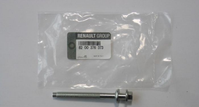 8200376373 Renault (RVI) Parafuso de fixação do injetor