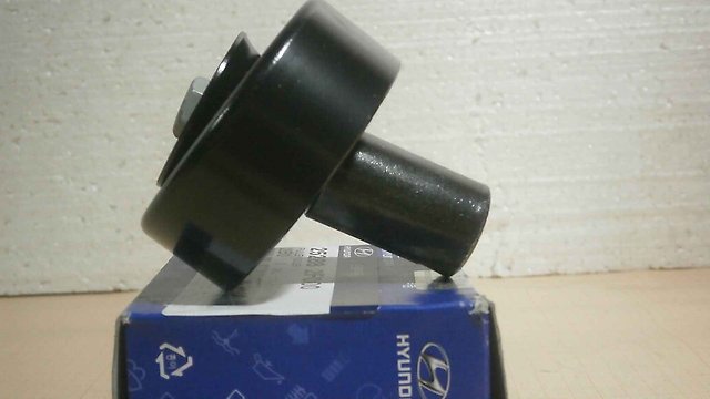 252882F000 Hyundai/Kia Rolo parasita da correia de transmissão