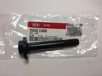 552602J000 Hyundai/Kia Parafuso de fixação do braço oscilante inferior traseiro, interno