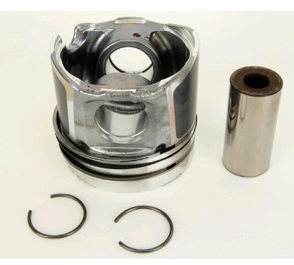 7701478481 Renault (RVI) Pistão do kit para 1 cilindro, STD