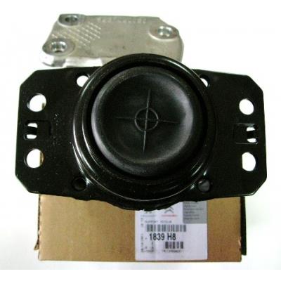 031574 Cautex Coxim (suporte) direito de motor