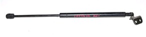 811613L001 Hyundai/Kia Amortecedor da capota