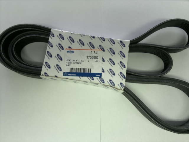 CC1Q6C301GA Ford Correia dos conjuntos de transmissão