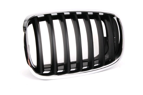 Grelha do radiador esquerda BMW 51137157687 preço, a partir de 44,07 USD