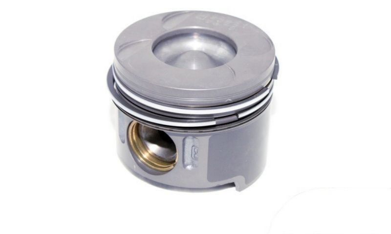 A6460300817 Mercedes Pistão do kit para 1 cilindro, STD
