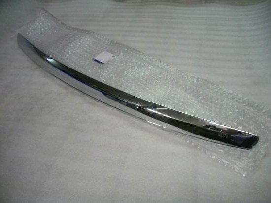 1698125 Ford Moldura da capota