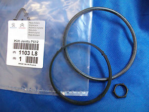 00001103L8 Peugeot/Citroen Vedante de adaptador do filtro de óleo