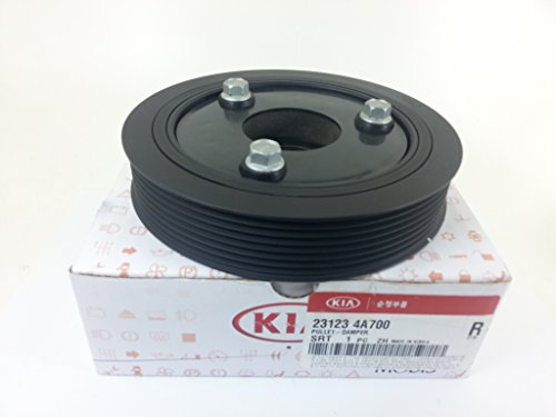231244A002 Hyundai/Kia Polia de cambota