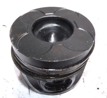 623592 Opel Pistão do kit para 1 cilindro, STD