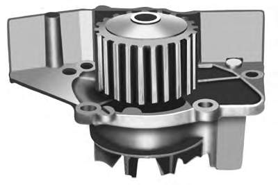 Compre DP031 Dayco Bomba de água (bomba) de esfriamento