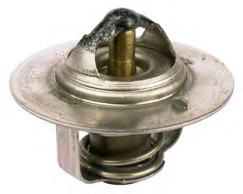 Compre 6994257 Ford Termostato
