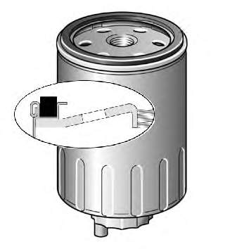 P5672 Fram