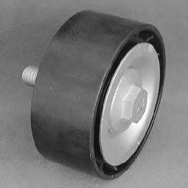 504000412 Fiat/Alfa/Lancia Rolo parasita da correia de transmissão