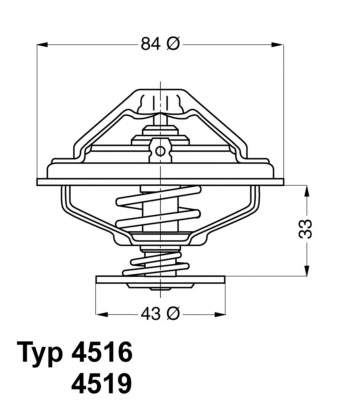 11531729720 BMW Termostato