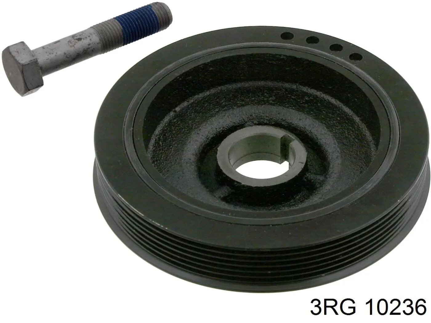 Compre 10236 3RG Polia de cambota