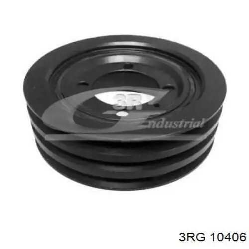 Polia de cambota 10406 3RG