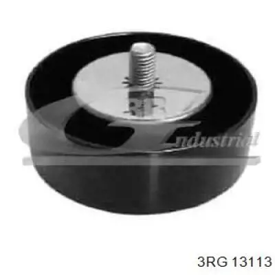Rolo parasita da correia de transmissão 13113 3RG