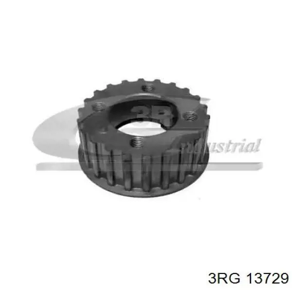 Engrenagem de cadeia da roda dentada de acionamento de cambota de motor 3RG 13729 preço, a partir de 17,79 USD