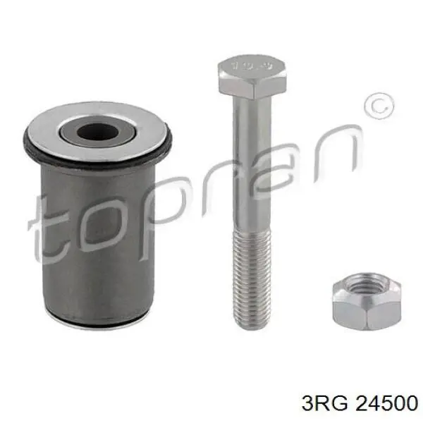 Compre 24500 3RG Kit de reparação do braço oscilante de pêndulo