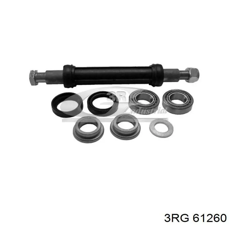61260 3RG Rolamento de fixação de braço oscilante traseiro (de suspensão traseira)