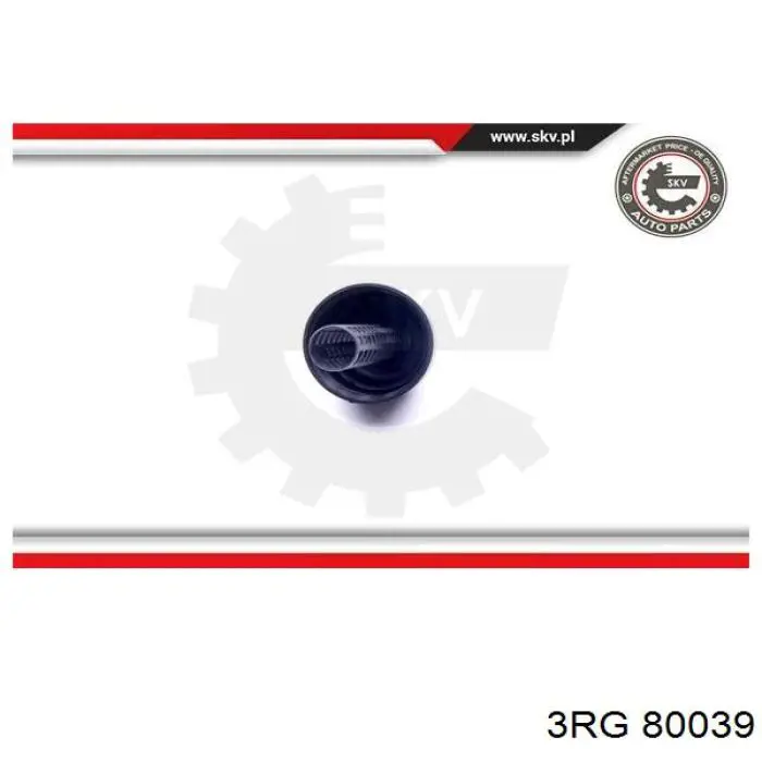 80039 3RG 