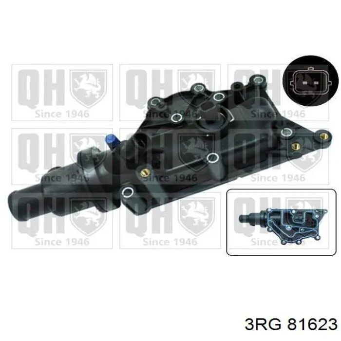 Compre 81623 3RG Caixa do termostato