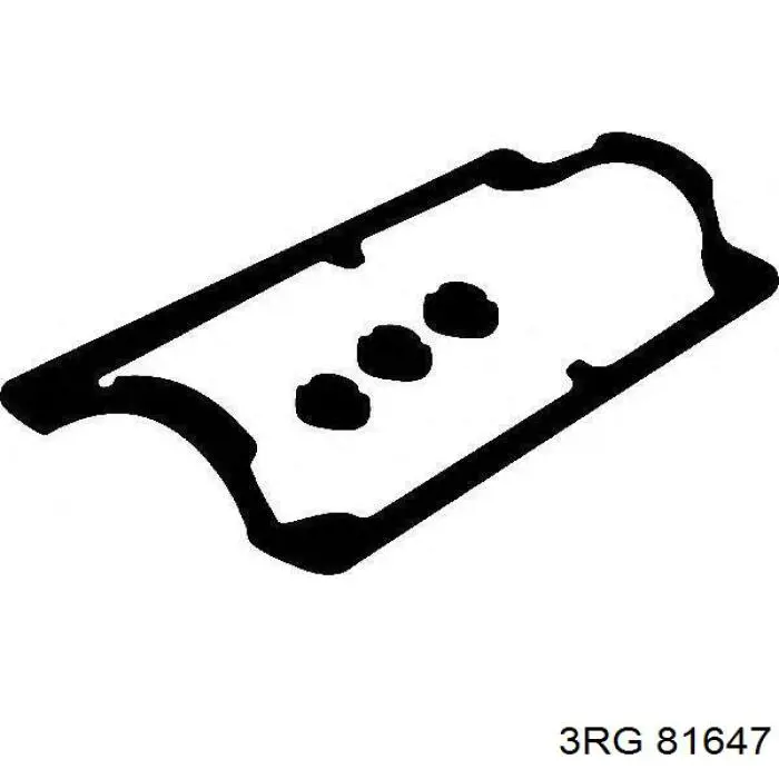  3RG 81647
