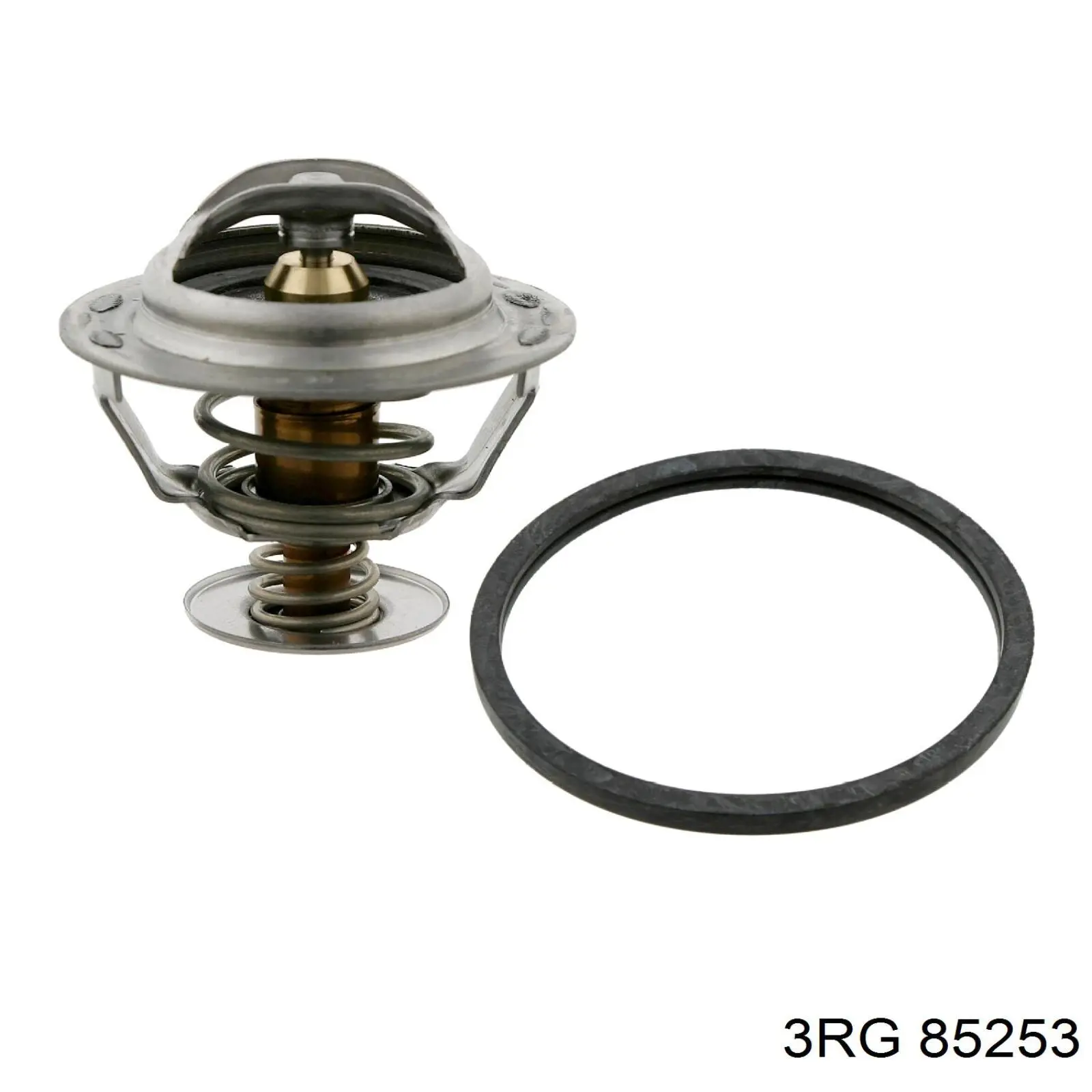 85253 3RG Caixa do termostato