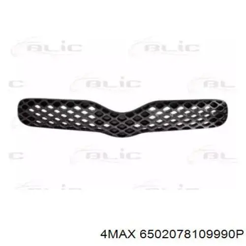 Compre KH8109990 Starline Grelha do radiador