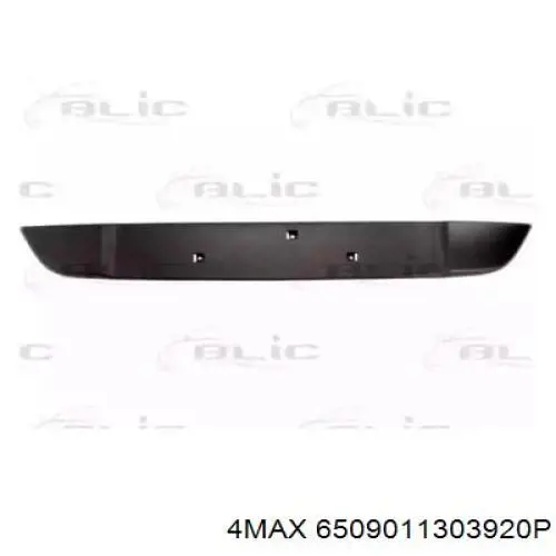 620788414R Renault (RVI) 