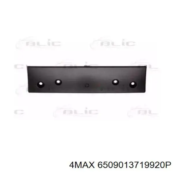 FP4805920 FPS Painel de fixação de matrícula dianteira