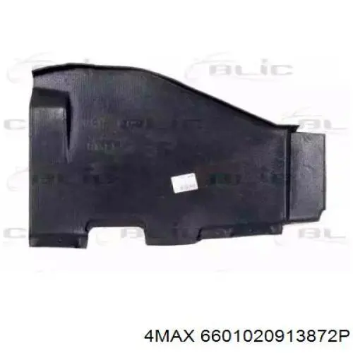 6601020913872P 4max Proteção de motor direito