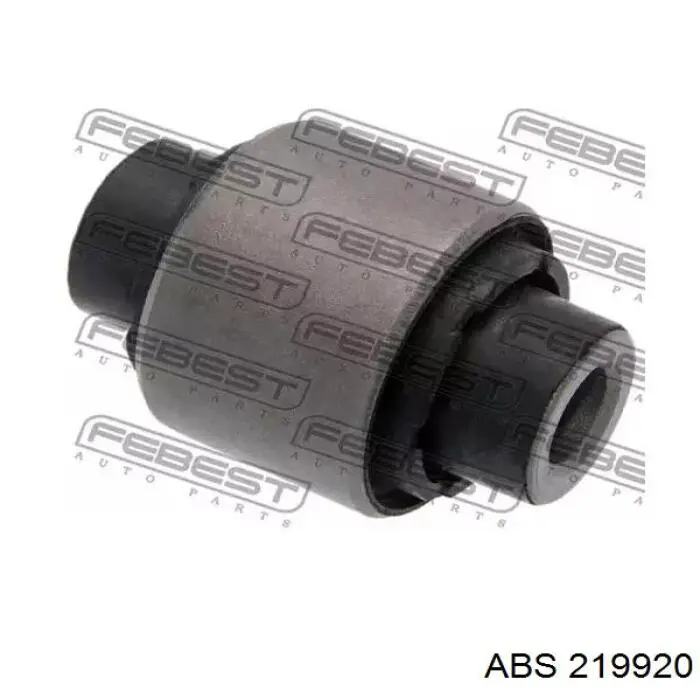 RL505501KIT Raiso Kit de braços oscilantes de suspensão traseira