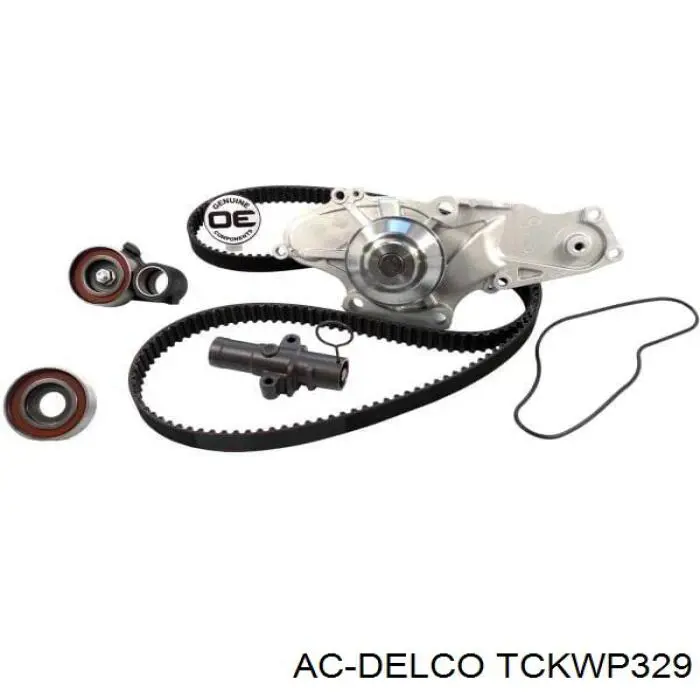Correia do mecanismo de distribuição de gás, kit para Honda Accord VII CL, CM
