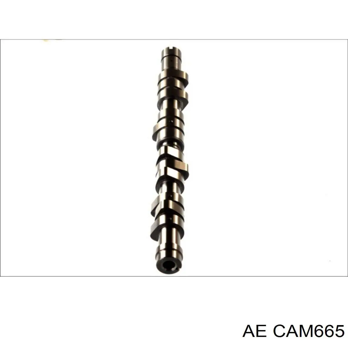 Compre 50006188 Kolbenschmidt Árvore distribuidora de motor