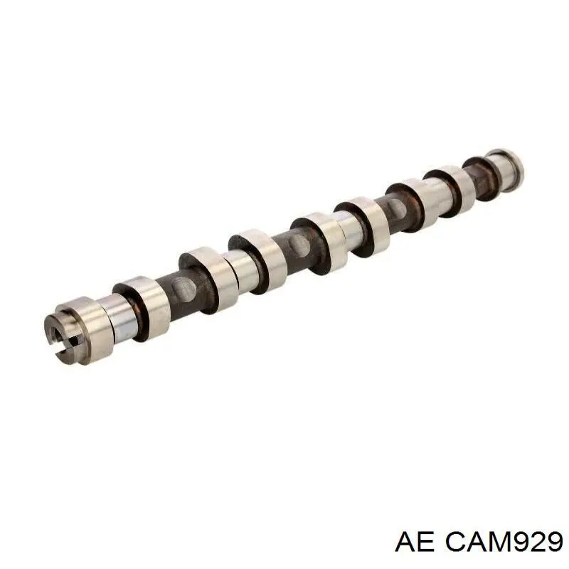 24428752 Opel Árvore distribuidora de motor de admissão