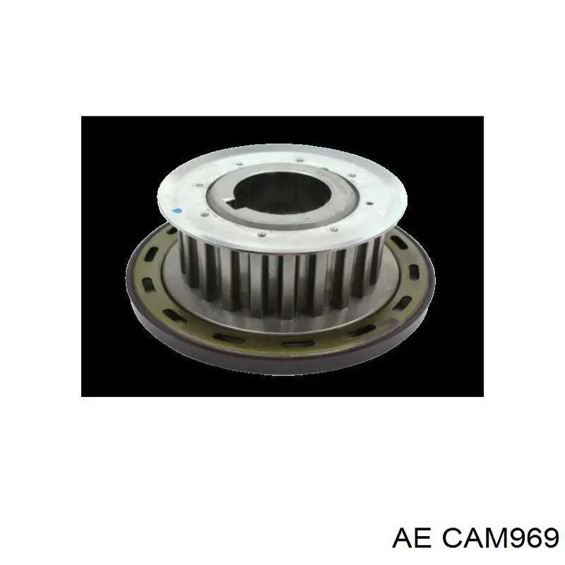 Árvore distribuidora de motor AE CAM969 preço, a partir de 157,68 USD