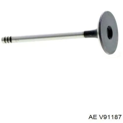 V91187 AE Válvula de admissão