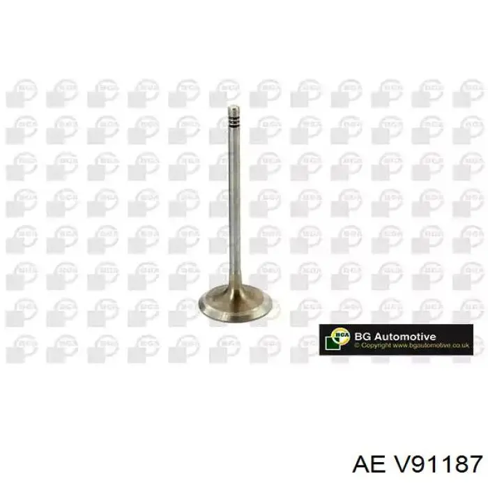 Compre V91187 AE Válvula de admissão