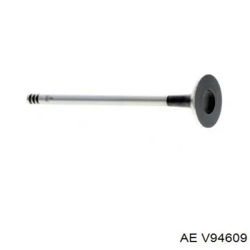 Válvula de escape V94609 AE