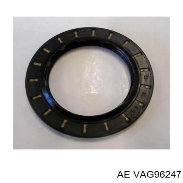 Compre 540012 Diesel Technic Guia de válvula