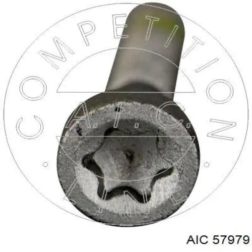 Parafuso de fixação do injetor AIC 57979 preço, a partir de 2,52 USD